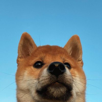 BENO