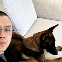 CZ'S DOG