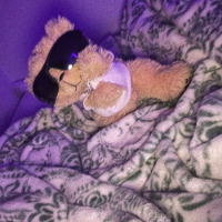 teddydafauq