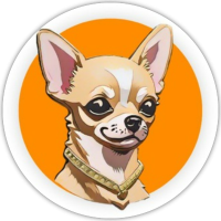 Kazuki Coin