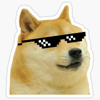 DOGE Fresh
