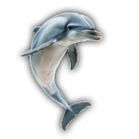 Bitcoin Swift