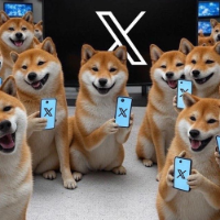 MediaDOGE